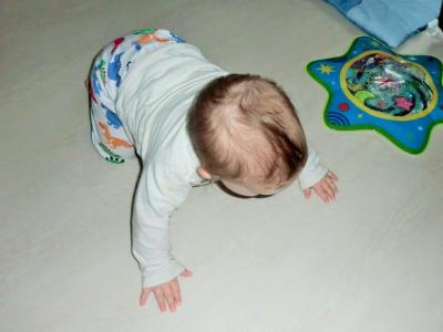 Bild zu Mein kind krabbelt.... - Baby Forum - Allgemeine Themen