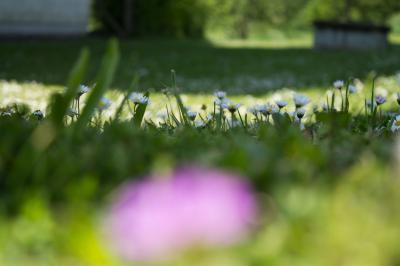 Bild zu "Fotounfälle" - Baby Forum - Allgemeine Themen