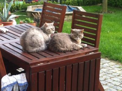Bild zu @kaathii.....guck mal das sind meine Beiden..... - Baby Forum - Allgemeine Themen