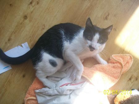 Bild zu