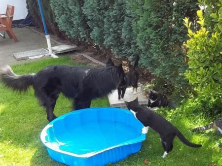 Bild zu