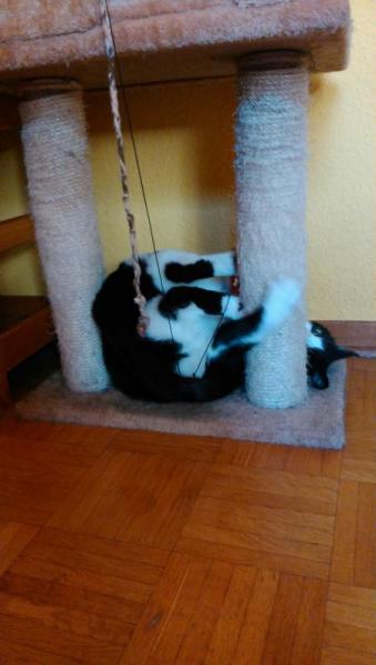 Bild zu
