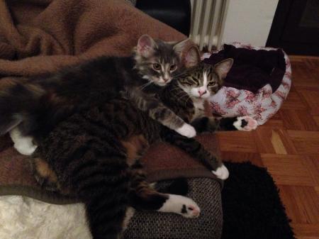 Bild zu