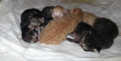 Bild zu :-) - Baby Forum - Allgemeine Themen