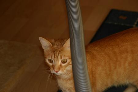 Bild zu 