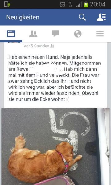Bild zu 