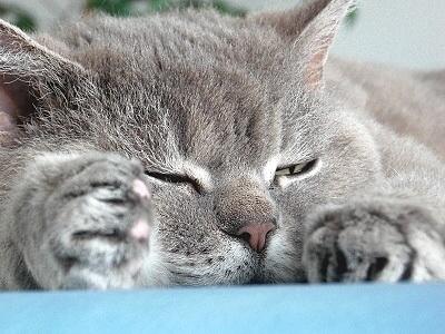 Bild zu Guckt mal: - Baby Forum - Allgemeine Themen