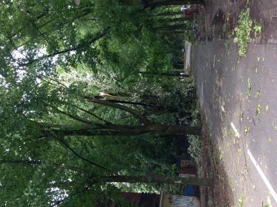 Bild zu 2. Gewitter front - Baby Forum - Allgemeine Themen