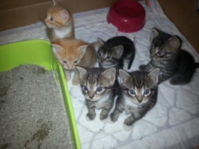 Bild zu Unsere Babys - Baby Forum - Allgemeine Themen