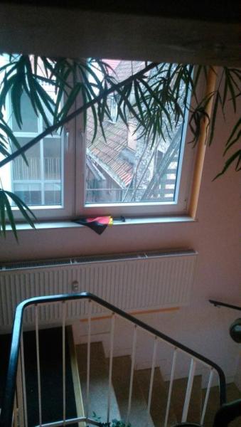 Bild zu 