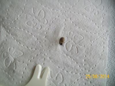 Bild zu Was meint ihr... - Baby Forum - Allgemeine Themen