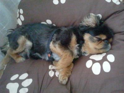Bild zu Schnarchnase! - Baby Forum - Allgemeine Themen