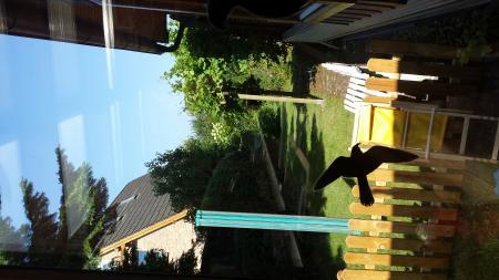 Bild zu 