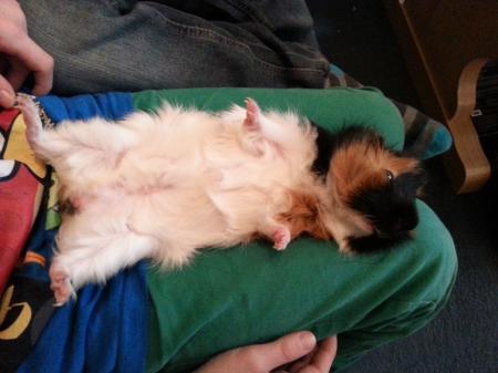 Bild zu 
