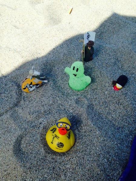 Bild zu 