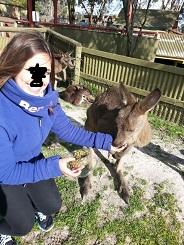 Bild zu Schaut mal... - Baby Forum - Allgemeine Themen