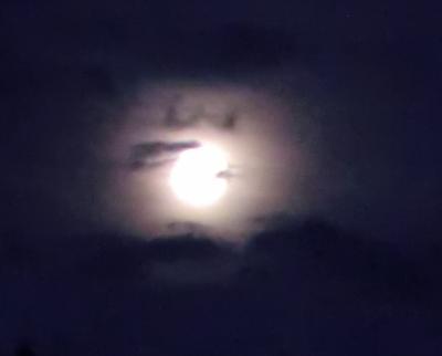 Bild zu Supermond ;o) und die Nacht der Sternschnuppen ;) - Baby Forum - Allgemeine Themen