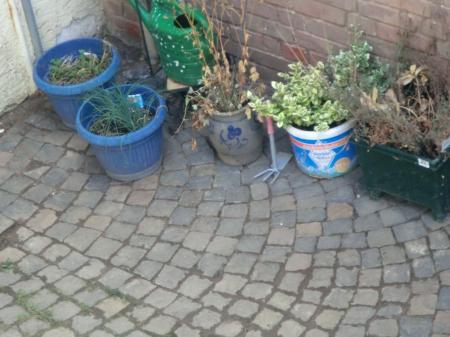 Bild zu 