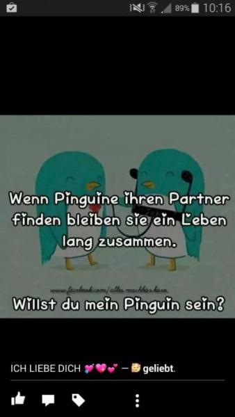 Bild zu Und das am frühen morgen!! - Baby Forum - Allgemeine Themen
