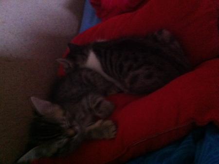Bild zu 