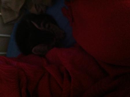 Bild zu 