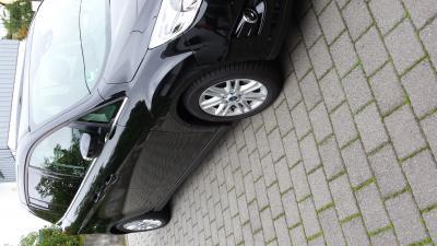 Bild zu Kein Focus ein C Max ist es - Baby Forum - Allgemeine Themen