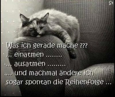 Bild zu Was ich gerade mache... - Baby Forum - Allgemeine Themen
