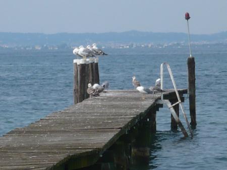 Bild zu 
