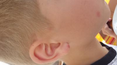 Bild zu jemand eine Ahnung - Baby Forum - Allgemeine Themen