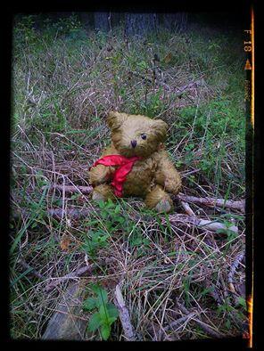 Bild zu schaut mal,was heute einsam im Wald saß - Baby Forum - Allgemeine Themen