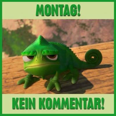 Bild zu Hat sich heute eigentlich schon jemand dem Montag gewidmet? - Baby Forum - Allgemeine Themen