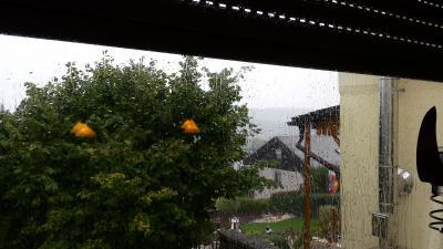 Bild zu Der Herbst ist da - Baby Forum - Allgemeine Themen