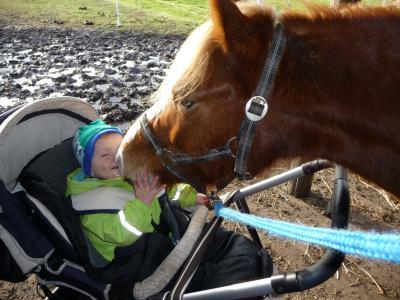 Bild zu Grade Fotos auf dem Notebook gefunden - so süß, Tiere und Kinder :D - Baby Forum - Allgemeine Themen