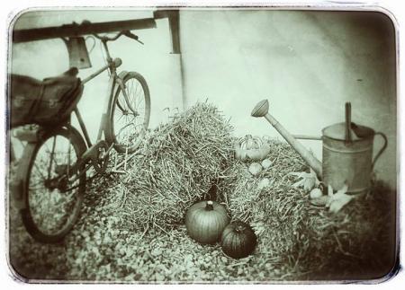 Bild zu 