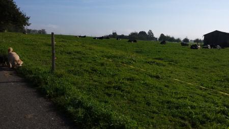 Bild zu 