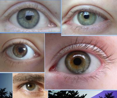Bild zu Augenfarbe kann sich noch ändern? - Baby Forum - Allgemeine Themen