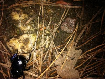 Bild zu Waren heut im Tierpark... - Baby Forum - Allgemeine Themen