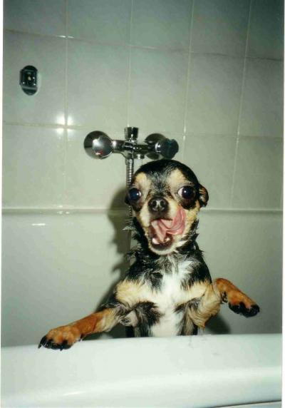 Bild zu Ich schwing mich mal in die Wanne - Baby Forum - Allgemeine Themen