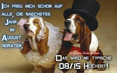 Bild zu ich kanns mir nicht verkneifen - Baby Forum - Allgemeine Themen
