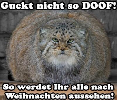 Bild zu ^^ - Baby Forum - Allgemeine Themen