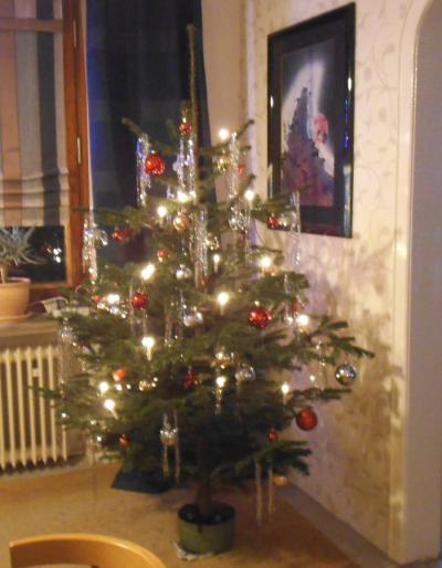 Bild zu Unser Weihnachtsbaum - Baby Forum - Allgemeine Themen