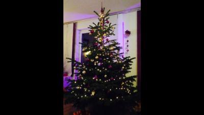 Bild zu Ich habe auch einen Baum......schon stehen... - Baby Forum - Allgemeine Themen