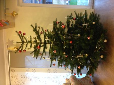 Bild zu 