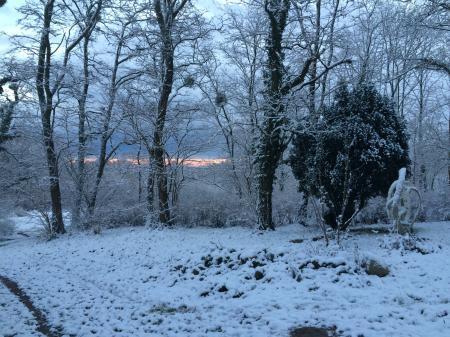 Bild zu 