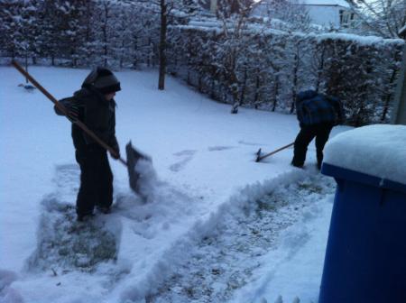 Bild zu 