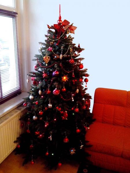 Bild zu 