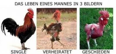 Bild zu Lol - Baby Forum - Allgemeine Themen