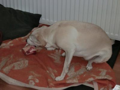Bild zu Ich mag auch mal twittern =) - Baby Forum - Allgemeine Themen