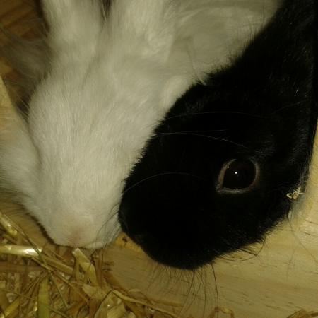 Bild zu 
