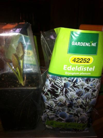 Bild zu Bei Aldi gabs heute... - Baby Forum - Allgemeine Themen